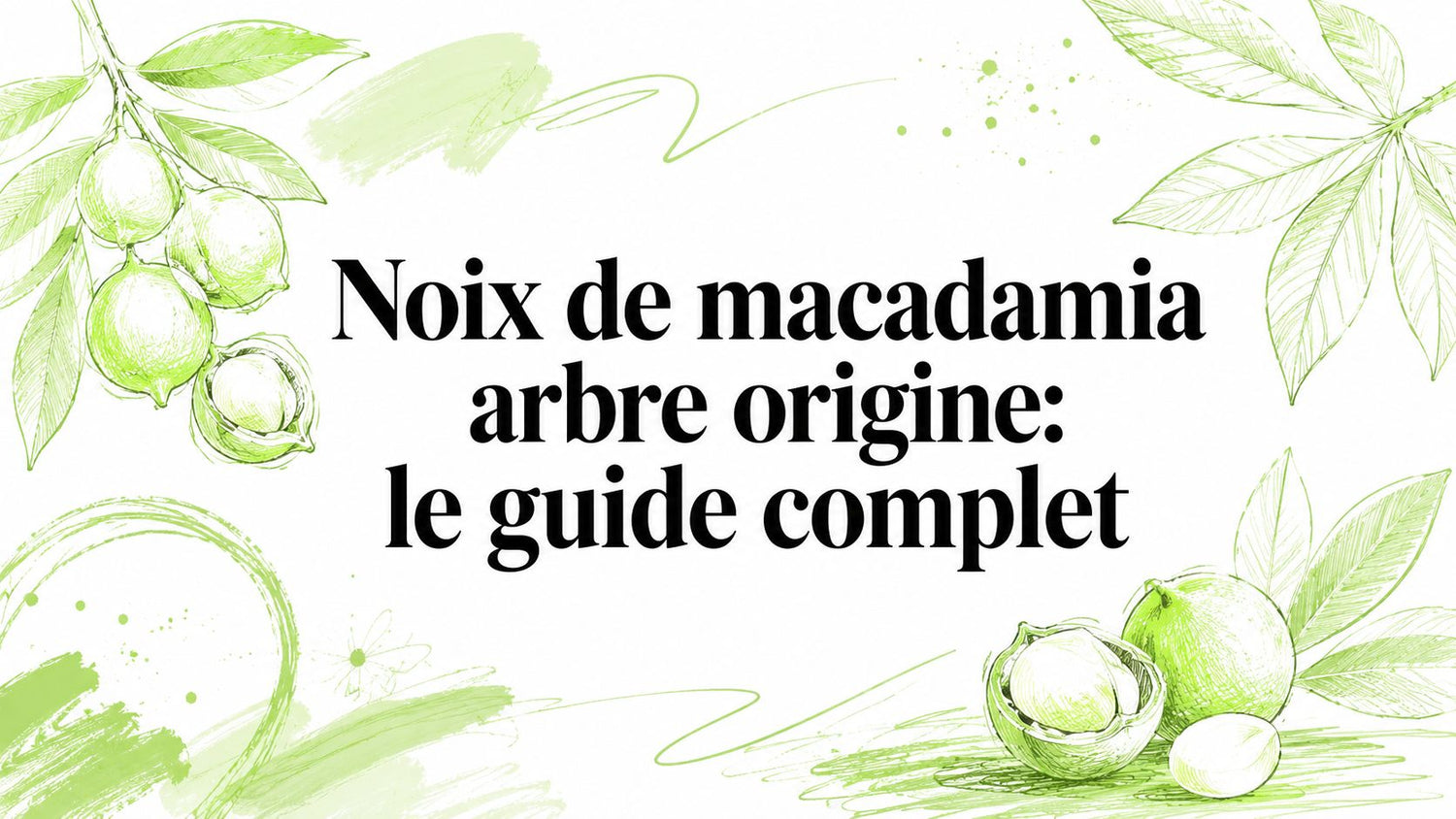Noix de macadamia arbre origine: le guide complet - Frutopy.fr
