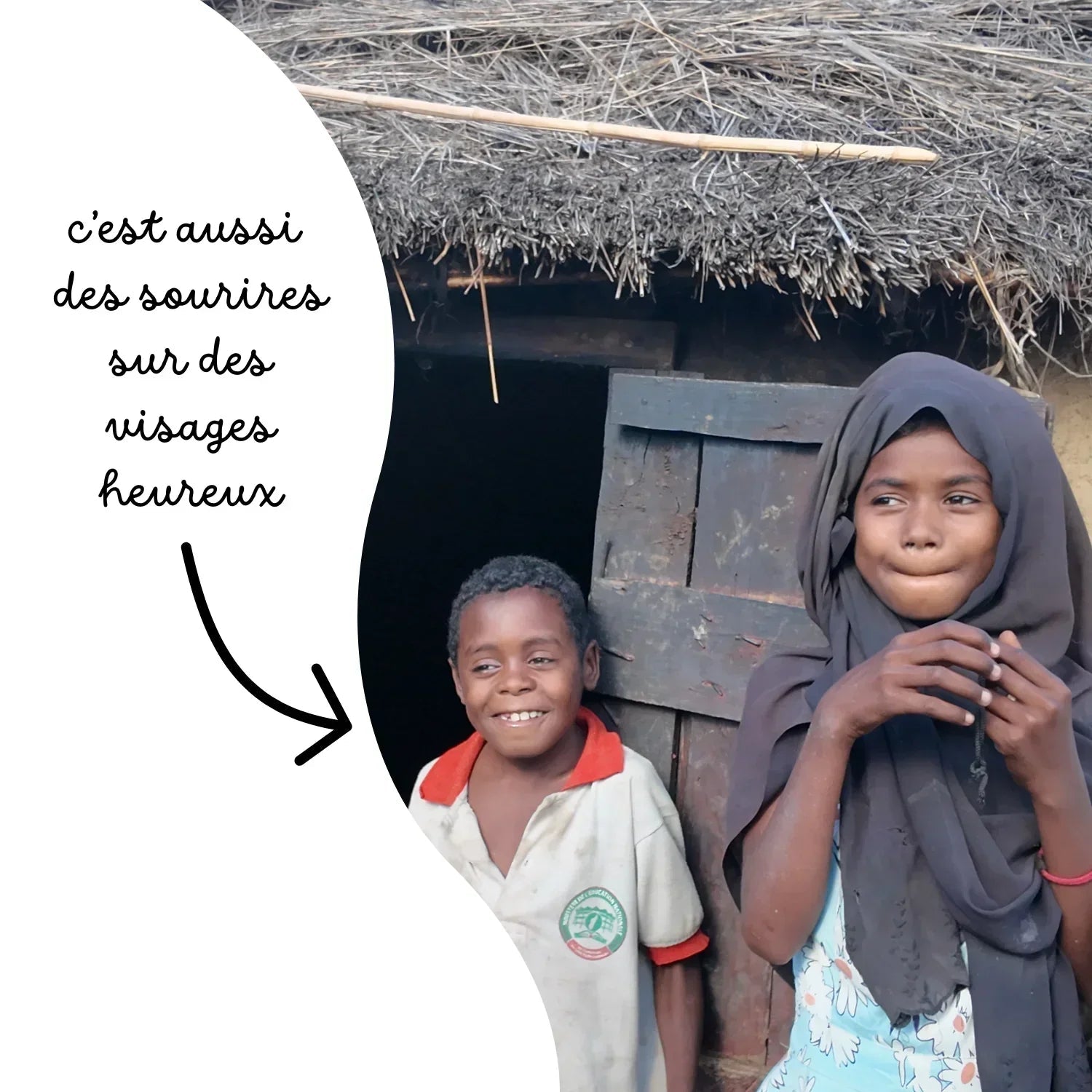 🤎🪵 Baobab Grandidieri - Frutopy.fr