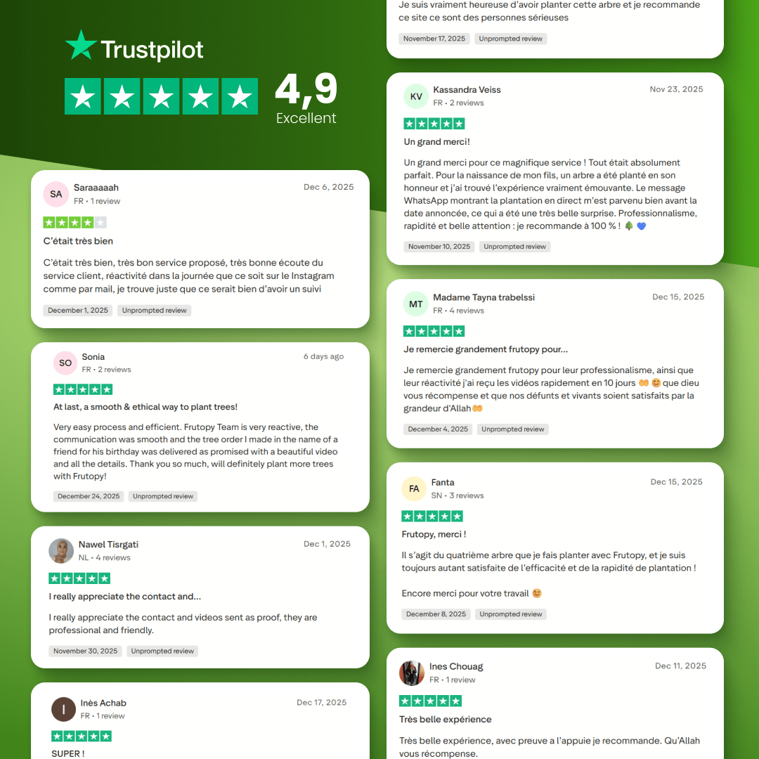 🌴 Dattier - Frutopy.fr