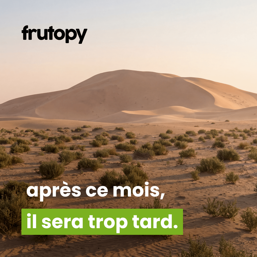 Dattier dans la Palmeraie Héritage ✨ - Frutopy.fr