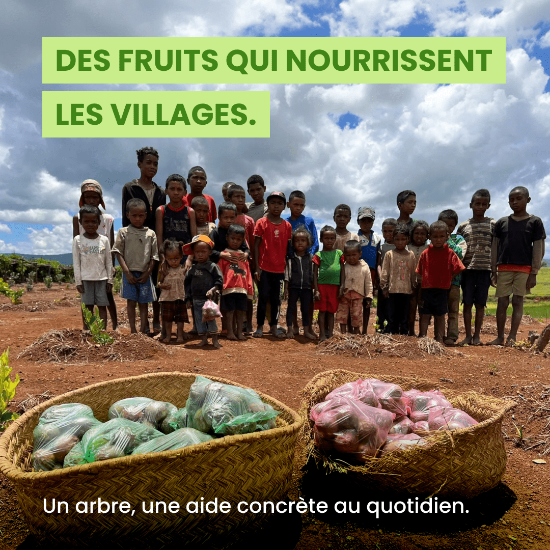 DÉCÈS - Frutopy.fr