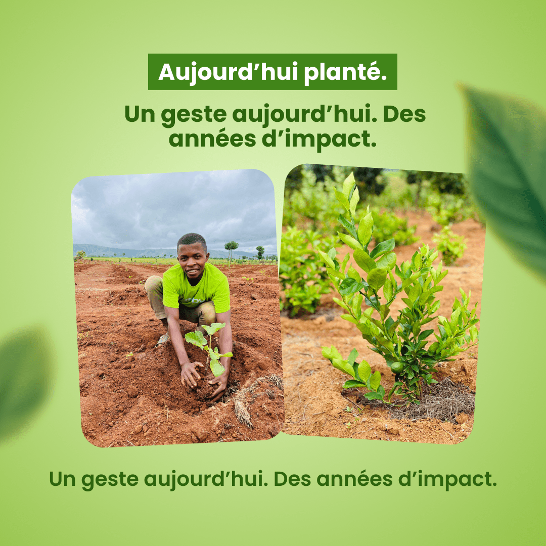 DÉCÈS - Frutopy.fr