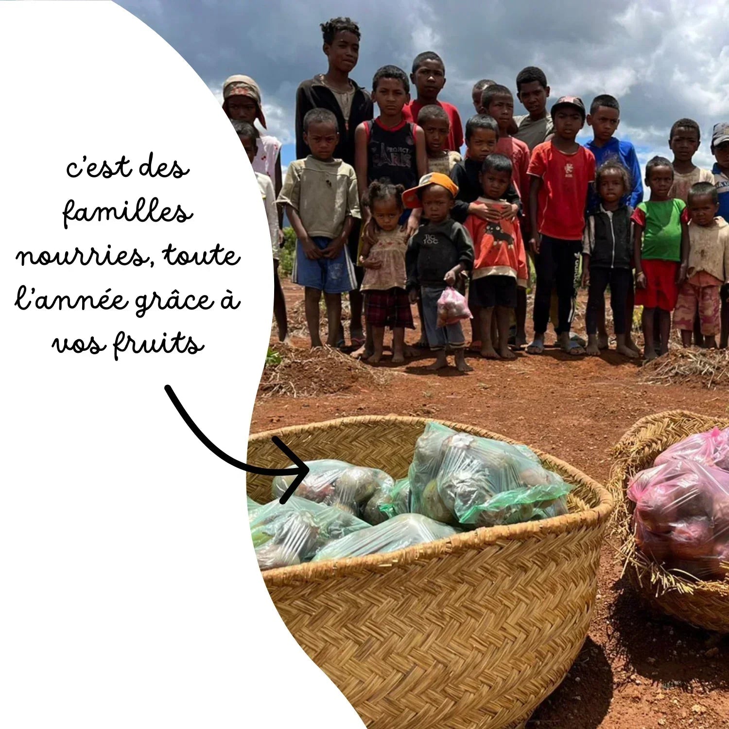 L'arbre de maman ❤️ - Frutopy.fr