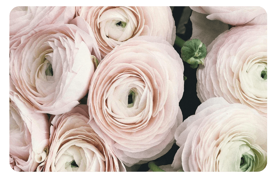 MARIAGE - Frutopy.fr