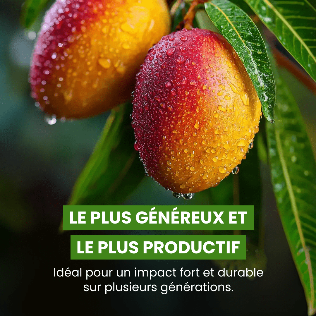 NAISSANCE - Frutopy.fr