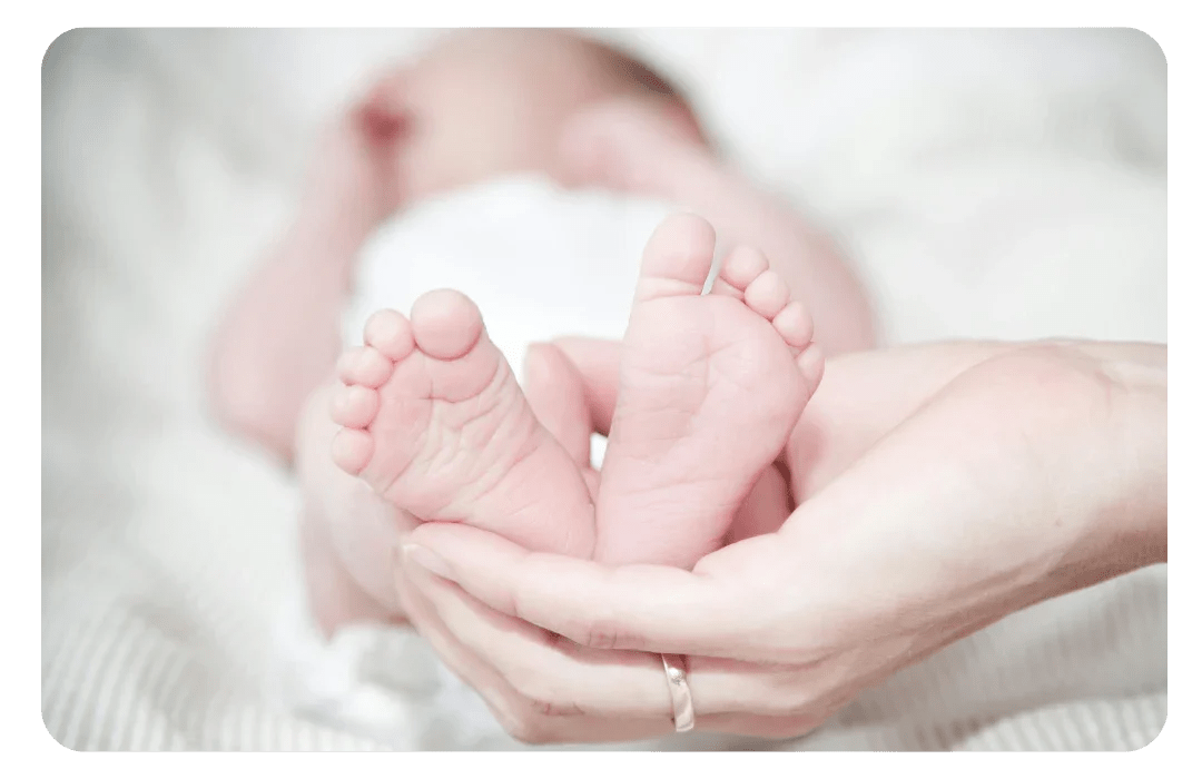 NAISSANCE - Frutopy.fr