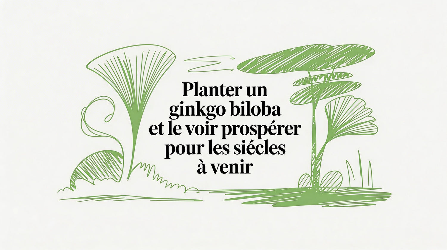 Planter un ginkgo biloba : un cadeau pour les générations futures - Frutopy.fr