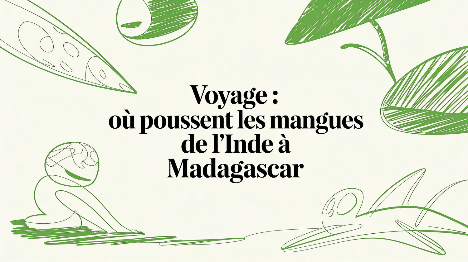 Voyage : ou pousse les mangues de l'Inde à Madagascar - Frutopy.fr