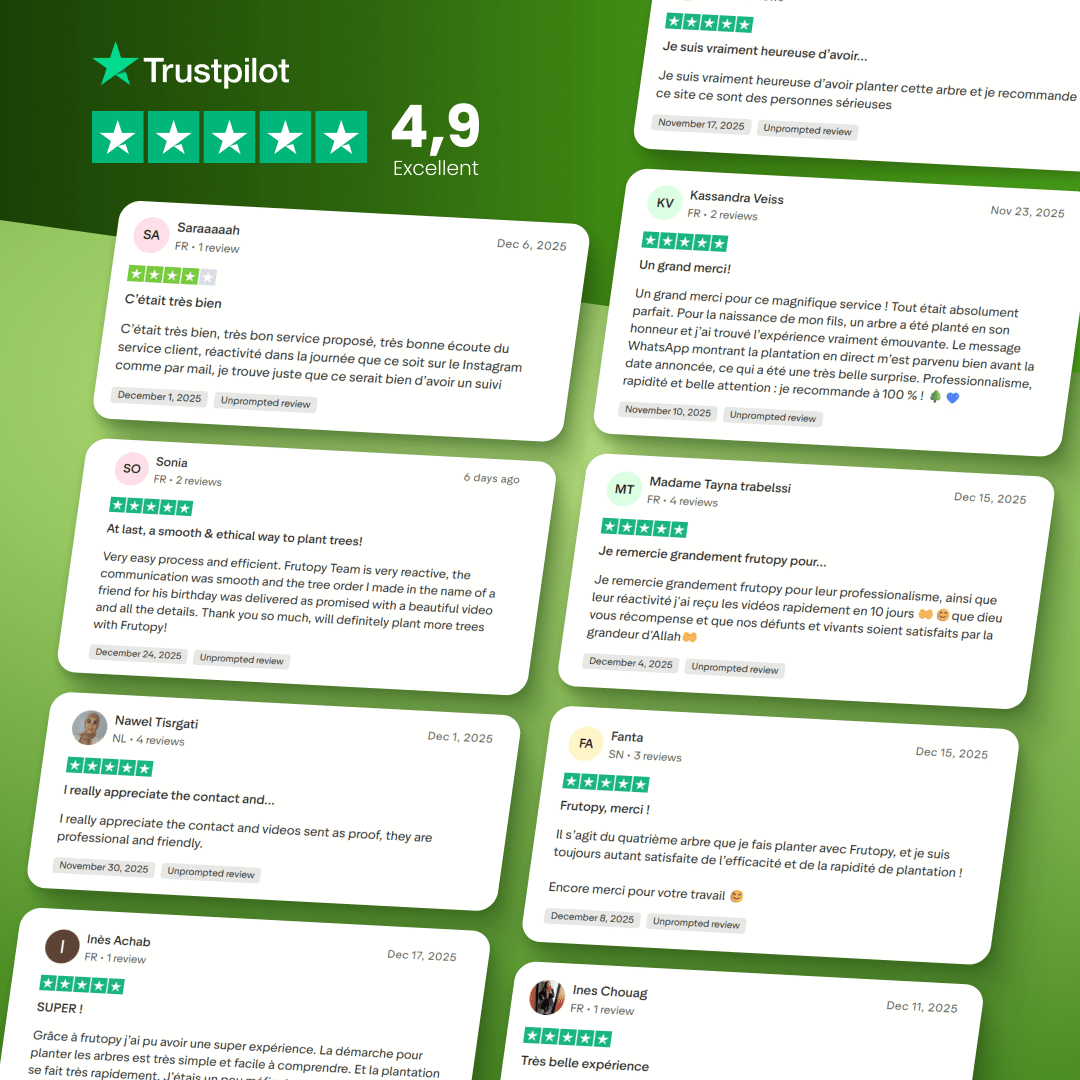 L'arbre de maman ❤️ - Frutopy.fr