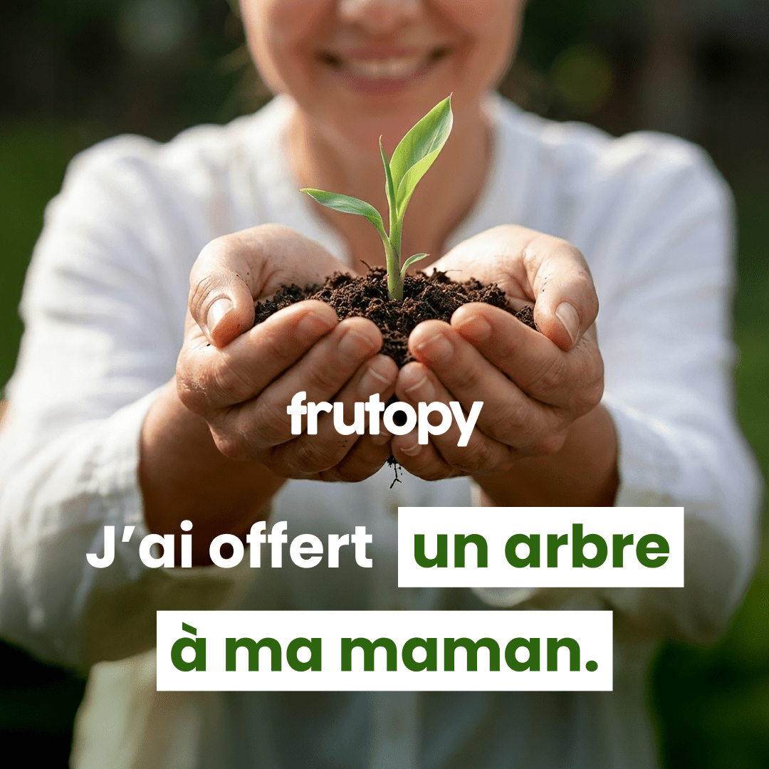 L'arbre de maman ❤️ - Frutopy.fr